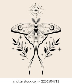 Mystic moth isolated vector illustration. Magic moon, occult, print, tattoo, poster.