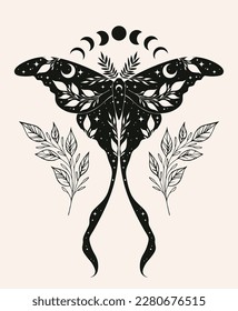 Mystic moth isolated vector illustration. Magic moon, occult, print, tattoo, poster.