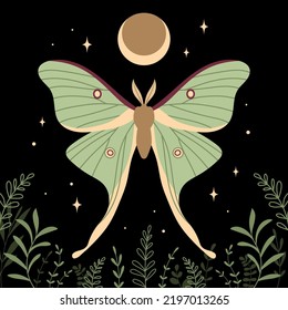 Mystic moth on dark background. Isolated vector illustration. Composition with butterfly, moon, stars and leaves.