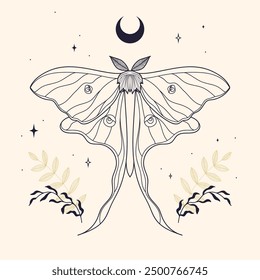 mystic night moth with long wings outline. esoteric spiritual elements. poster 