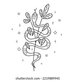 Mystic serpent illustration in boho style with branch and leaves. Hand drawn snake. Fantasy concept mythical creature, esoteric elements. Vector illustration isolated on white background.