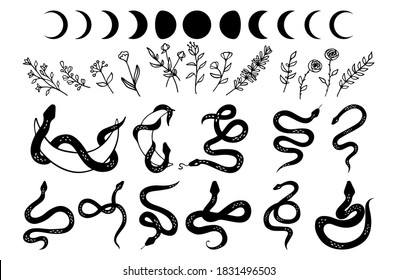 Mystic set of snakes silhouette, moon phases and wildflowers. Delicate greenery, rustic herbs, fern, foliage and plants in line style. Boho modern hand drawn design elements for logo and branding.