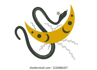 Mystic snake on the moon with star on a white background. Celestial boho astrology. Magical illustration for witchcraft and the occult. Flat vector illustration.