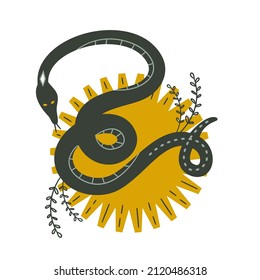 Mystic snake on the sun with star on a white background. Celestial boho astrology. Magical illustration for witchcraft and the occult. Flat vector illustration.