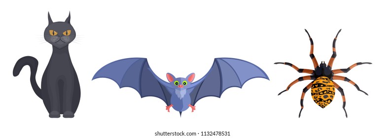 mystical animals witches cat spider and mouse cartoons