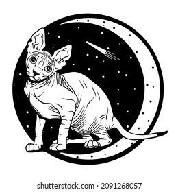 Mystical bald sphinx cat. Against the background of the moon and stars. Magic illustration. Cute cat vector art. File for cutting vinyl and print. T-shirt design and stuff.