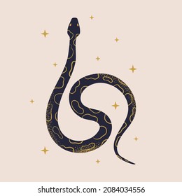 Mystical black snake with celestial stars symbols vector illustration. Magic sacred creature. Hand drawn witch animal. Wicca concept isolated