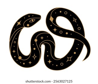 Mystical black snake with golden elements. Symbol of Chinese New Year 2025. Vector illustration isolated on transparent background