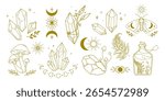 Mystical boho line art collection with crystals, mushrooms, moon phases, herbs, magic symbols, and esoteric elements.Esoteric prints, stickers, tattoo, branding, spiritual projects,social media.Vector