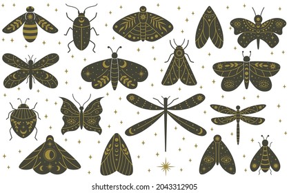 Mystical boho moth butterfly dragonfly hand drawn insects. Magical witchcraft dragonfly, butterfly, beetles and moth vector illustration set. Witchcraft mystical wild insects butterfly and moth boho