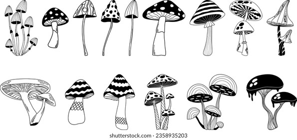 Mystical boho mushrooms vector
