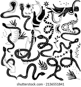 Mystical boho snake. Set black and white of snake, Leaves, Flowers, Snake wrapped around hand and moon. Witchcraft and Wild west. Mysterious snakes. vector illustration.