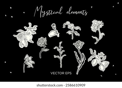 Mystical Botanical Set. Perfect for tattoos, prints, branding, and spiritual designs.