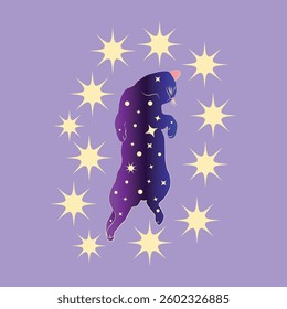 Mystical cat in boho style surrounded by stars, zodiac signs, balls, paw prints, silhouette collection. Esotericism and mysticism, occultism. Cartoon flat vector illustration.