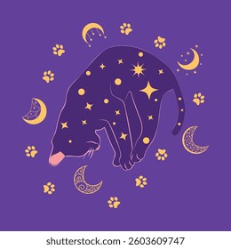 Mystical cat in boho style surrounded by stars, zodiac signs, balls, paw prints, silhouette collection. Esotericism and mysticism, occultism. Cartoon flat vector illustration.