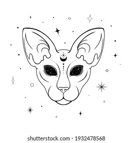 Mystical cat hand drawn illustration. Trendy design with Sphynx Cat. Minimalistic poster design with a cat and star dust