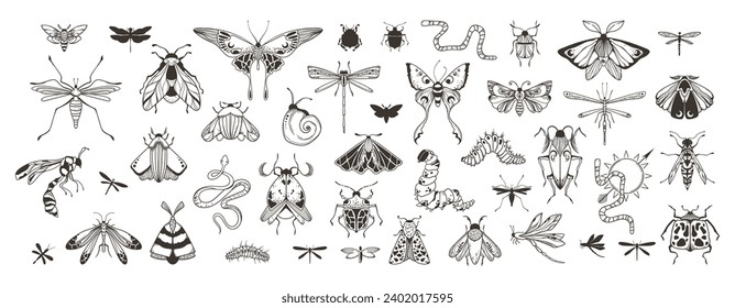 Mystical celestial beetles, moth, butterfly clipart bundle, magic black and white insects silhouettes in vector, unreal hand drawn night moth, isolated elements set