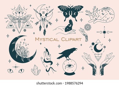 Mystical Celestial Bundle. Outline Witchy Drawing. Isolated Floral Moon. Witchcraft T Shirt Print. Contour Witch Hands. Luna Moth And Butterfly