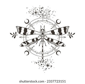 Mystical celestial dragonfly and moon phases clipart in black color silhouette, magic lunar insect with stars line art in vector, unreal hand drawn butterfly, isolated design element