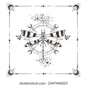 Mystical celestial dragonfly and moon phases in ornate floral frame clipart in black color silhouette, magic lunar insect with stars line art in vector, unreal hand drawn butterfly, isolated design