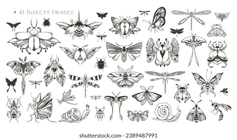 Mystische Himmelsmüte, Käfer, Käfer, Libellen, Schmetterling, Schneckentenkult, zauberhafte Schwarz-Weiß-Insekten-Silhouetten in Vektorgrafik, handgezeichnet entomologische Einzelelemente