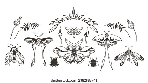 Mystical celestial moth and butterfly, beetle, floral elements and mushrooms clipart bundle, magic black and white insects silhouettes in vector, unreal hand drawn night moth, isolated designs set