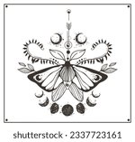 Mystical celestial moth or butterfly clipart, magic black and white insect silhouette in vector, hand drawn line moth with floral decorative fern leaves, branches, moon phases isolated composition