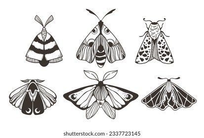 Mística de polilla celeste y mariposa de clipart, siluetas mágicas de insectos negros y blancos en vectores, polilla nocturna de línea dibujada a mano irreal, conjunto de elementos de diseño aislados