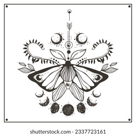 Mystical celestial moth or butterfly clipart, magic black and white insect silhouette in vector, hand drawn line moth with floral decorative fern leaves, branches, moon phases isolated composition