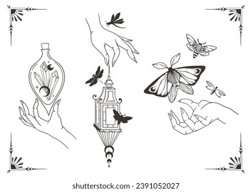 Mystical celestial moth, dragonfly and butterfly clip art bundle, magic black and white insects, witch hands silhouettes in vector, unreal hand drawn isolated elements kit