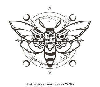 Mystical celestitical night moth Clip Art in schwarzer Farbe, magisches Mondinsekt und Mondsilhouetten in Vektorgrafik, unwirklicher handgezeichneter Schmetterling, isoliertes Design-Element