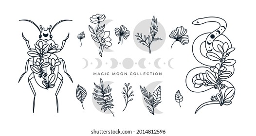 Mystical collection of floral line art, snake, witchy herbs, moon phases, beetle isolated on white background. Authentic illustration. Magic moon, flowers, celestial animals in bohemian style. 