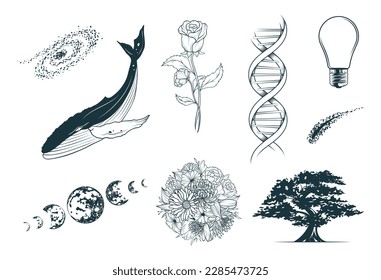 Colección mística de planetas, ballenas, rosas, árboles y otros elementos de diseño. Ilustración vectorial dibujada a mano aislada en blanco para impresión, tatuaje, tarjeta de saludo y afiche.