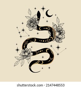 Mystical composition with a  snake, crescent moon, stars and flowers on a light background.  Magic illustration for spiritual practices of ethnic magic and rites.