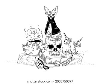 Mystical composition with a witch's cat and a skull. Vector hand drawn doodle illustration