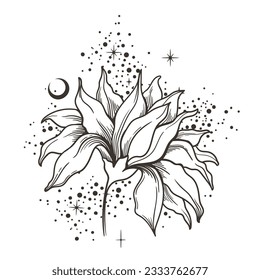 Mystical cosmic flower and crescent moon, black and white celestial magic plant hand drawn vector design element