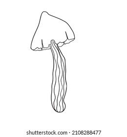 Mystical drawing. Fly agaric mushroom sketch. Black and white.