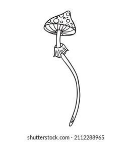 Mystical drawing. Fly agaric mushroom sketch. Black and white. Vector illustration of doodles. Sacred geometry, religion, spirituality, occultism. Print, t-shirt, postcard. Design of celestial bodies.