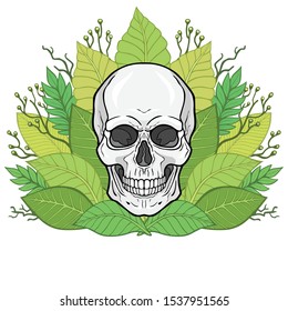 Mystical drawing:  human skull, bouquet of tropical leaves. Magic, esoteric, occultism. Vector illustration isolated on white background. Print, poster, T-shirt, card. 