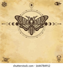 Mystical drawing: moth Dead Head, sacred geometry, moon phases, energy circles. Alchemy, magic, esoteric, occultism. Background - imitation of old paper. Vector Illustration. Place for the text.