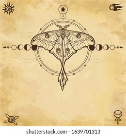 Mystical drawing: tropical butterfly, sacred geometry, moon phases, energy circles. Alchemy, magic, esoteric, occultism. Background - imitation of old paper. Vector Illustration.