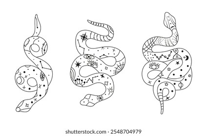 Mystical esoteric snakes illustrated in a clean linear style. The design features symbolic and abstract representations of snakes, perfect for spiritual, occult, or decorative projects.