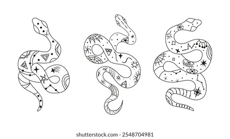 Mystical esoteric snakes illustrated in a clean linear style. The design features symbolic and abstract representations of snakes, perfect for spiritual, occult, or decorative projects.