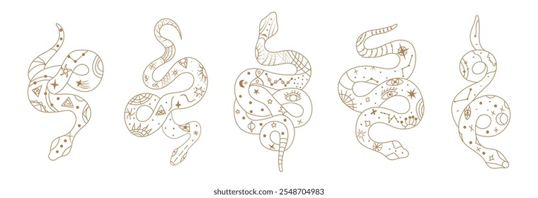 Mystical esoteric snakes illustrated in a clean linear style. The design features symbolic and abstract representations of snakes, perfect for spiritual, occult, or decorative projects.