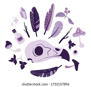 mystical flat set, hand drawing: bird skull, horns, berries, ivy, fly agaric, toadstool, mushrooms, 
branches, potion in a bottle, feathers, month, crystal, star