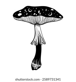 A mystical fly agaric mushroom illustrated in a lovely black-and-white doodle style.