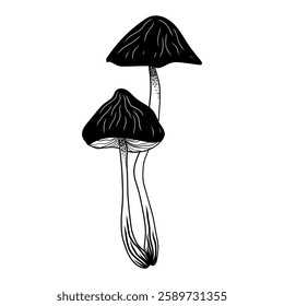 A mystical fly agaric mushroom illustrated in a lovely black-and-white doodle style.
