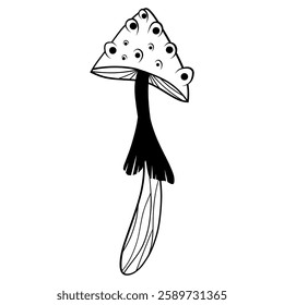 A mystical fly agaric mushroom illustrated in a lovely black-and-white doodle style.