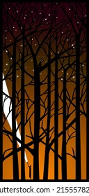 a mystical forest full of secrets