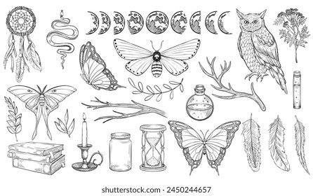 Conjunto de bosque místico. Ilustración vectorial de búho y polillas. Dibujo de la colección Witch Magic con mariposa, caras de luna y atrapasueños en estilo lineal pintado por tintas negras. Esbozo esquemático del veneno